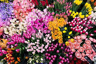 《碧蓝幻想：Relink》全球销量11天突破100万份